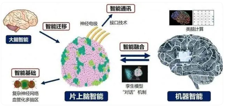 國(guó)產(chǎn)腦機(jī)接口技術(shù)突破引矚目,微美全息(WIMI.US)持續(xù)科研深耕引領(lǐng)產(chǎn)業(yè)創(chuàng)新浪潮
